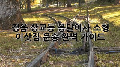 정읍 상교동 용달이사, 소형 이삿짐 운송 완벽 가이드